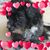 Rebecca Hembree-Husbands's profile image