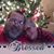Stacie Pederson's profile image