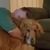 Brandon Baurichter's profile image