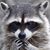 Robert Lazar's profile image