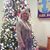 Deborah Williams's profile image