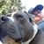 Valarie Aughtmon's profile image