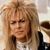 Michael Christopher Dolt-Perkins's profile image