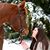 Allie Richardson's profile image