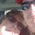 Sandie Marshall's profile image