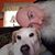 Tony Ruth-Laurie's profile image