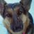 Kathy Sistare's profile image