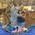 Charlott Willis's profile image
