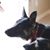 Carole Matheny's profile image