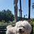 Evelyn Geuping's profile image