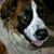 Phil Howenstine's profile image