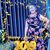 Patricia Mollnow's profile image