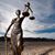 Cheryl Ann Poe's profile image