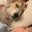 Brian Duncan's profile image