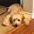 Tonya Fraser's profile image