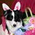 Sherri Keller's profile image