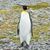 Roberta Unterseher's profile image