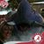 Kelly Bullock's profile image