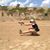 Pascale Green's profile image