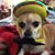 Dana Smith-Mansell's profile image