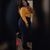 Bianca Chanel's profile image