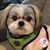Debbie Aidala's profile image