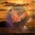 La Vaun Johns's profile image