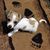 Virginia Klepp's profile image