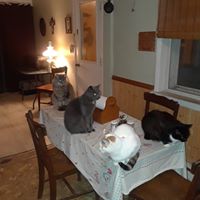 Donna Winters's profile image