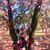 Lorraine Arnold's profile image