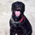 James Markley's profile image
