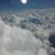 Sharron Petrick's profile image