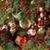 Debbie Spence Rinkacs's profile image