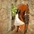 Michelle Robinson's profile image