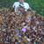 Nate Moynihan's profile image