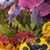 Susan McChesney's profile image