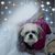 Wendy Kearn Berndt's profile image