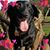 Julie Hamilton Lopez's profile image