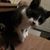 Bobbi Lecrone's profile image