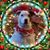Coleen Bracken-Torres's profile image
