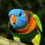 Ana Pinho's profile image