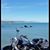 Jeff Nesbit's profile image