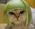 pool p.'s profile image