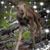 Melanie Rizzo's profile image