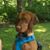 Mark Olson's profile image