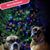 Patti Bergeron's profile image