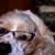 Tricia Suchsland's profile image