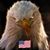 Brian Billiet's profile image