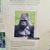 Ivo Lambrecht's profile image