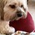 Bonnie Crans Conaway's profile image